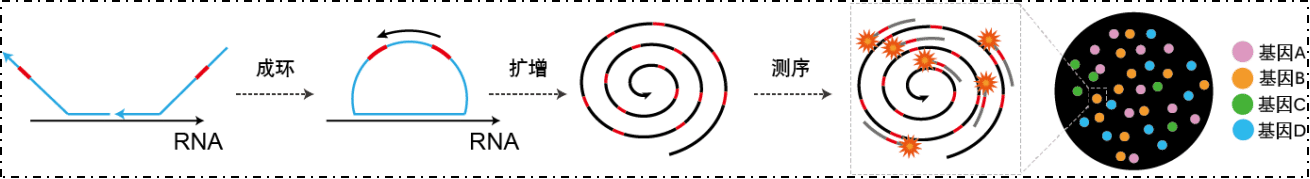 1649749863991028445.png 5-1 (1).png