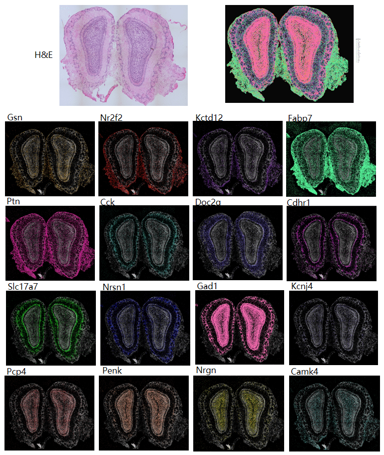 1649749871946049481.png 5-2 (1).png