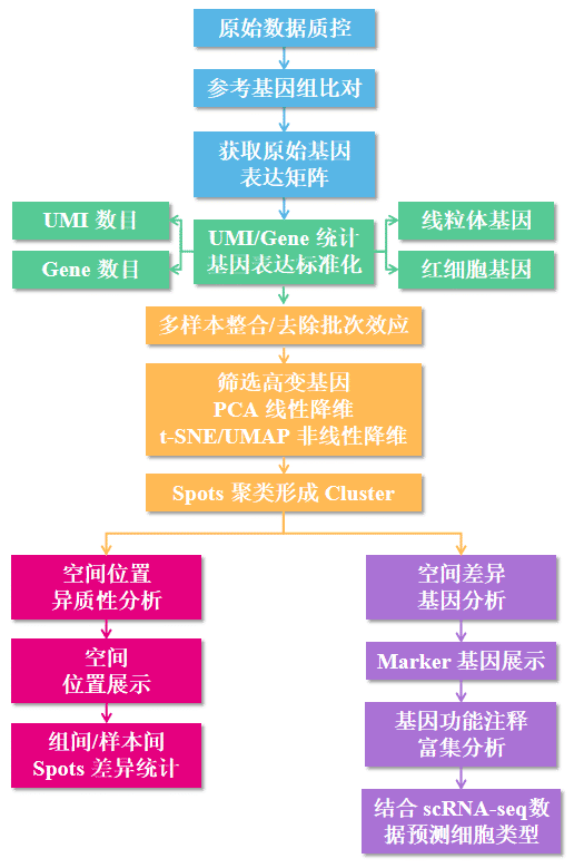 1649752957099086308.png 10-3 (1).png