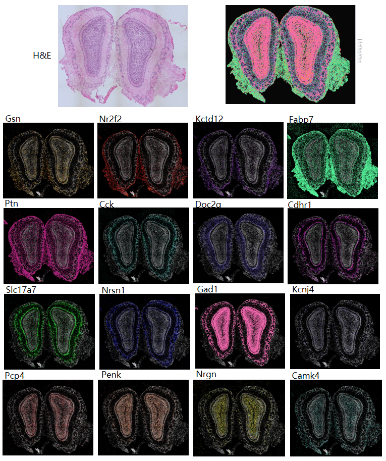 1649752962199036472.png 10-4 (1).png