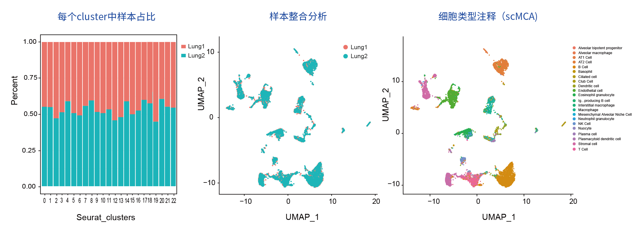 小鼠肺组织样本测试_画板 1.jpg
