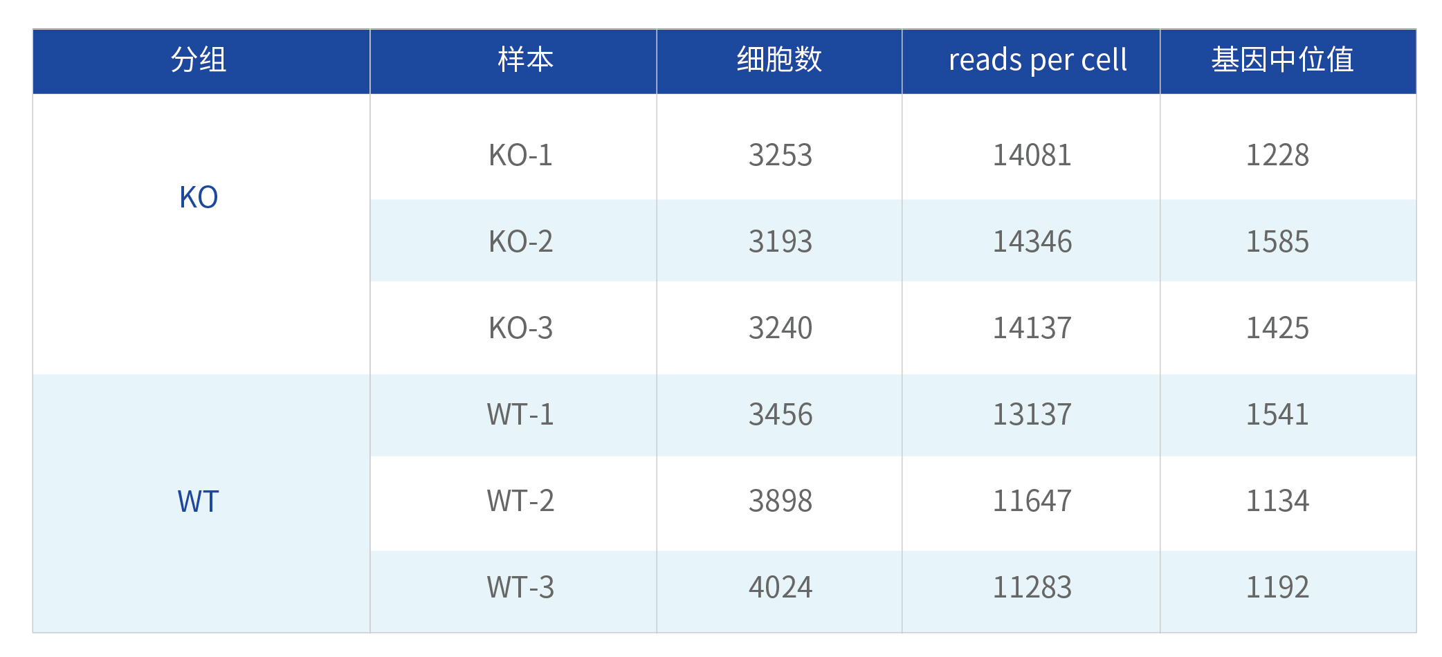 小鼠骨髓样本测试_画板 1.jpg