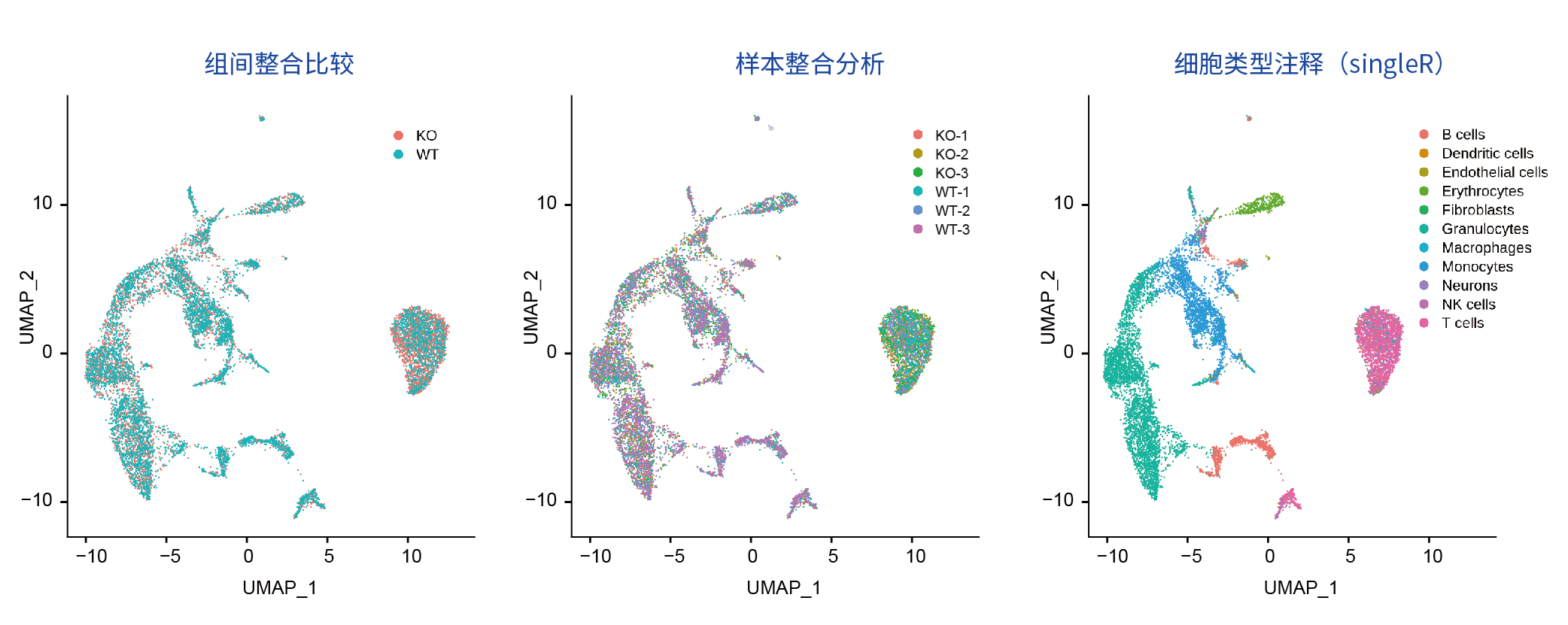 小鼠骨髓样本测试_画板 102_画板 1.jpg
