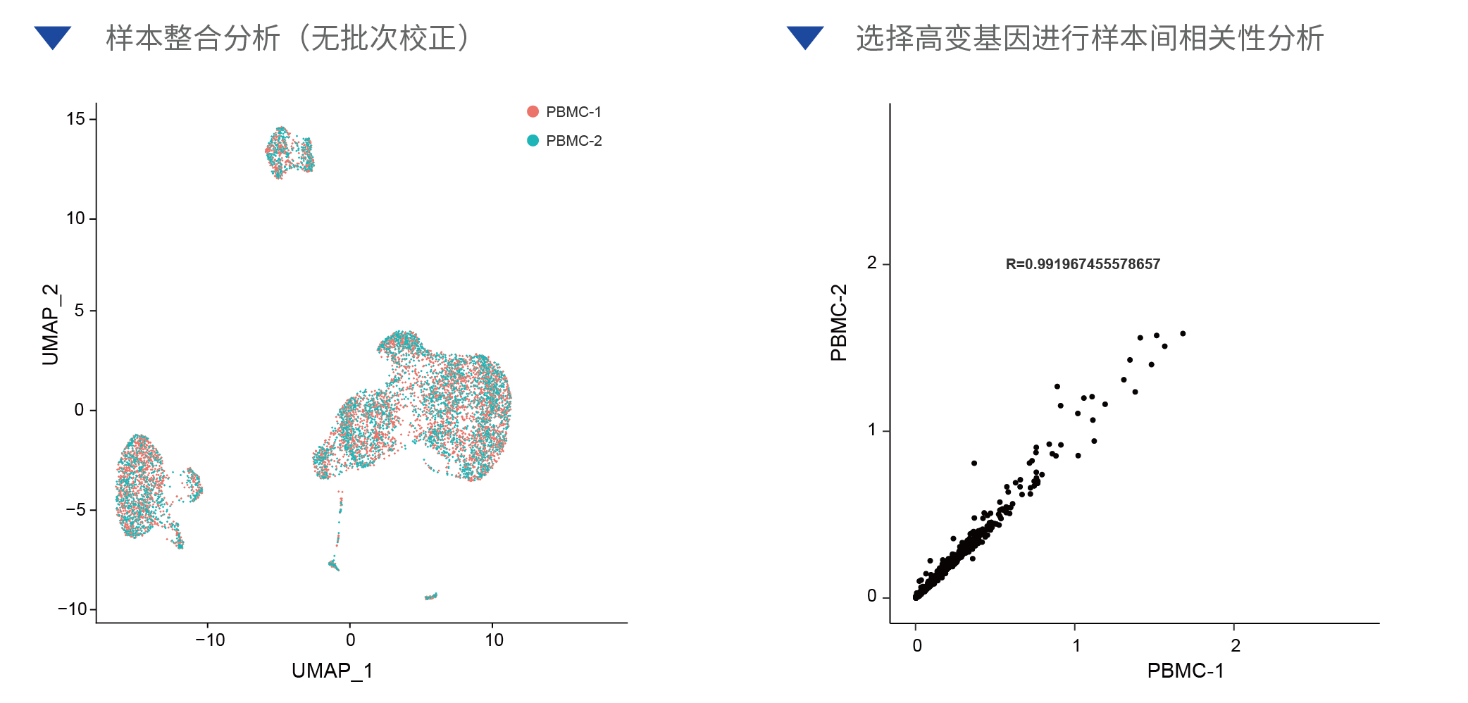 PBMC样本测试_画板 103_画板 1.jpg