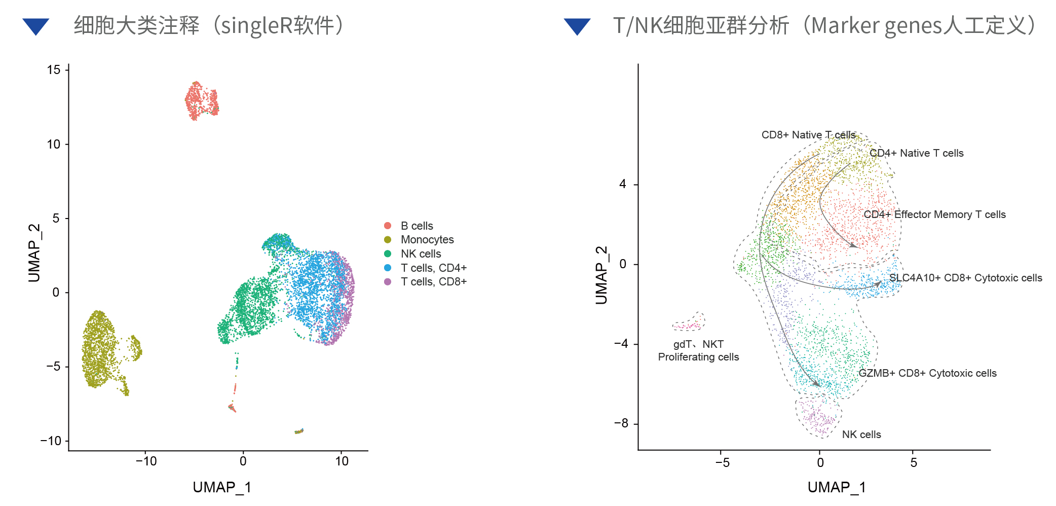 PBMC样本测试_画板 102_画板 1.jpg