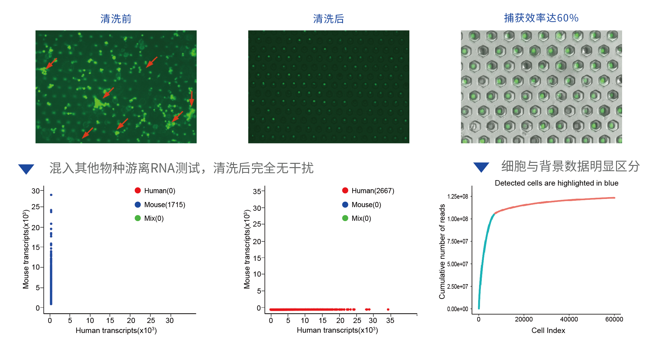 背景清洗测试_画板 1.jpg