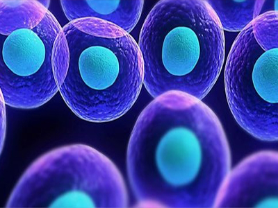 单细胞多组学分析