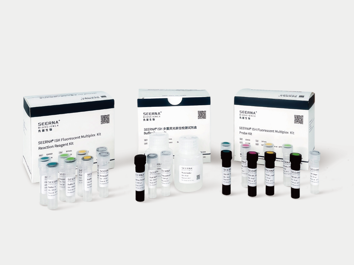单重和多重RNA荧光原位杂交（asmFISH）