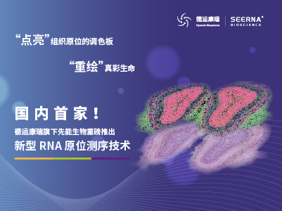 新型RNA原位测序技术发布！德运康瑞领跑单细胞与空间组学领域，临床潜力引关注！